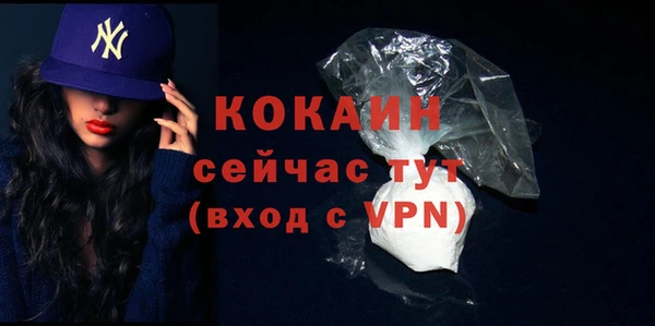 гидра Наволоки