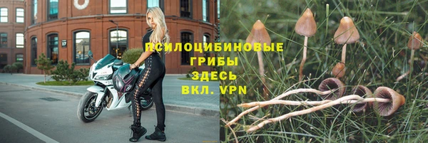 Альфа ПВП Михайловка