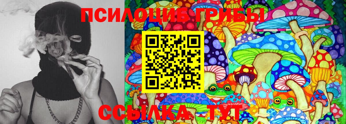 Галлюциногенные грибы MAGIC MUSHROOMS Новошахтинск