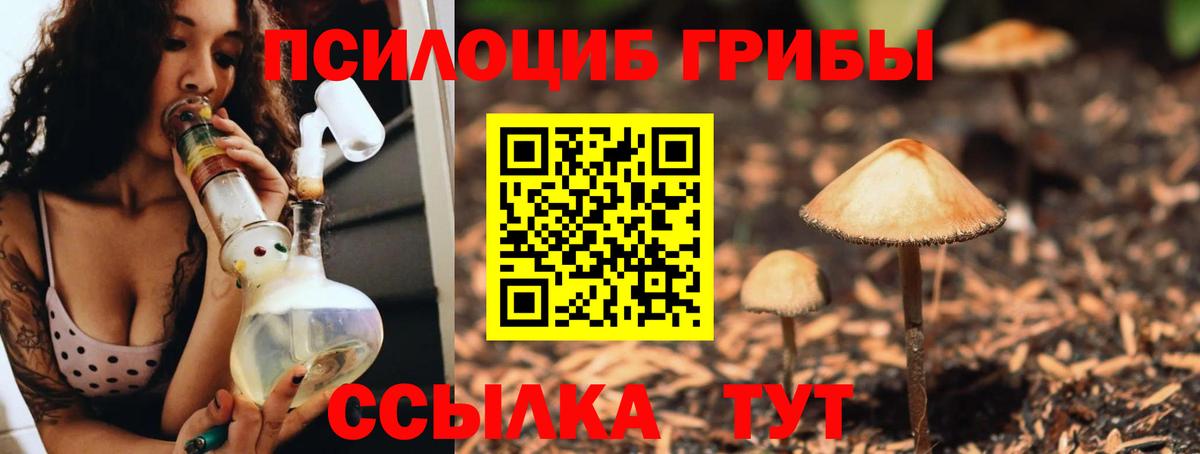 Псилоцибиновые грибы мухоморы  Вход с VPN  Новошахтинск  Псилоцибиновые грибы мухоморы 